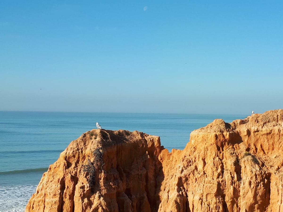 Apartamento Albufeira 6 B Exteriér fotografie